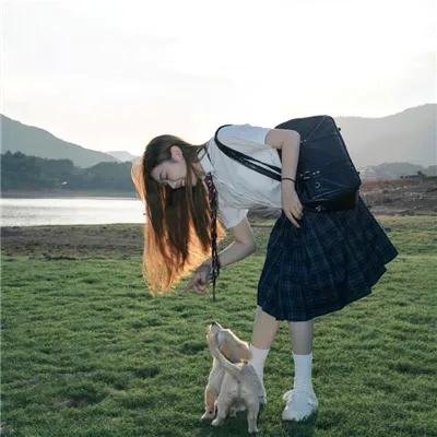 文豪野犬第一季